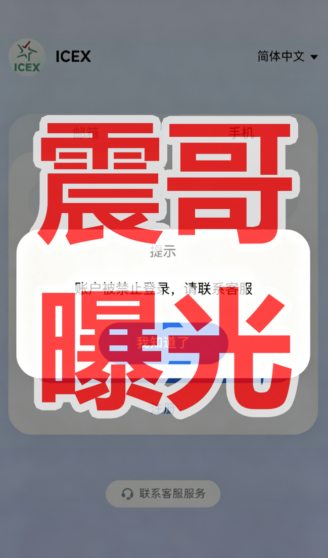 原文图片
