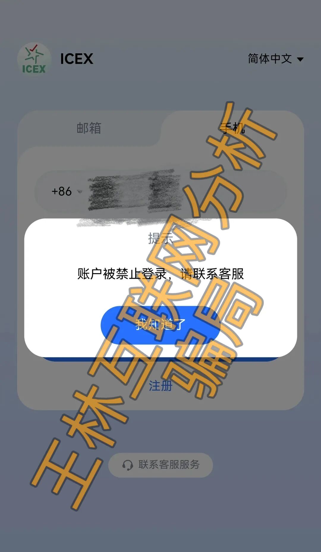 原文图片