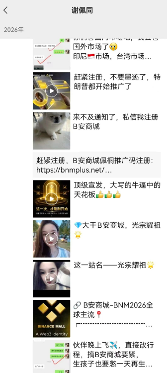 原文相关图片6