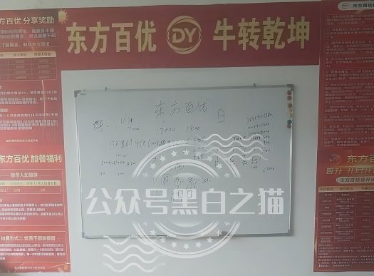 原文相关图片4