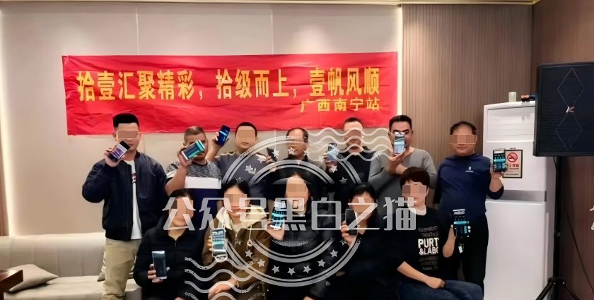 原文相关图片2
